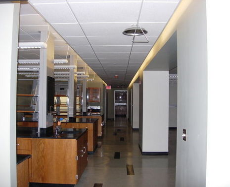 MUSC Neurology Laboratory